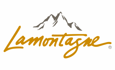 Chocolat Lamontagne: How Viridem Revolutionized Account Payables  Management Automation